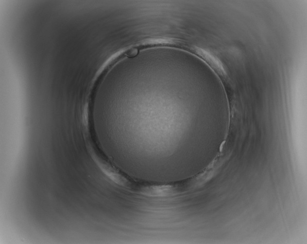X0000113110108200908281417