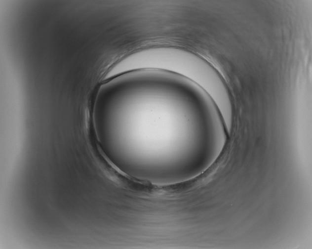 X0000113110109200908281417