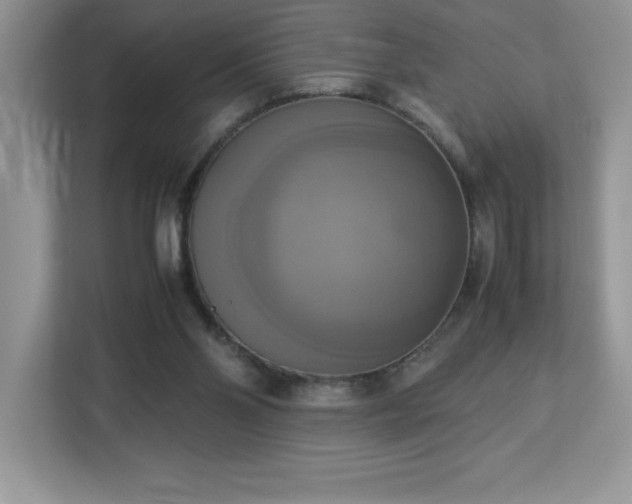 X0000113110110200908281417