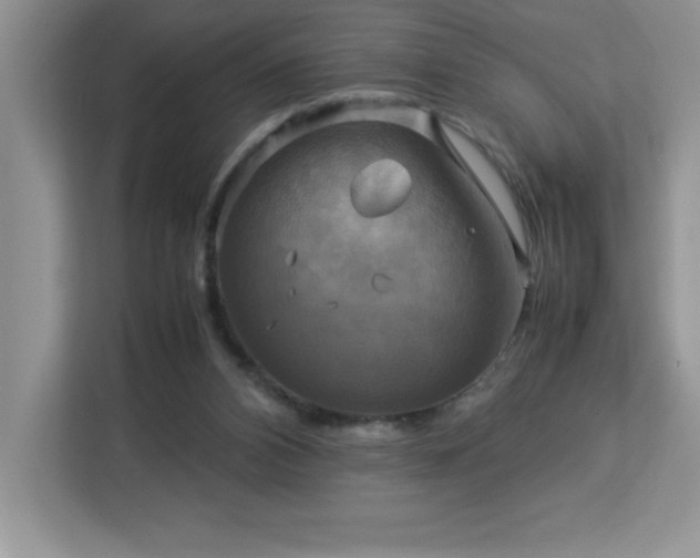 X0000113110112200908281417