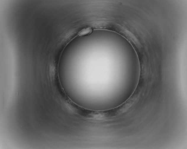 X0000113110113200908281417