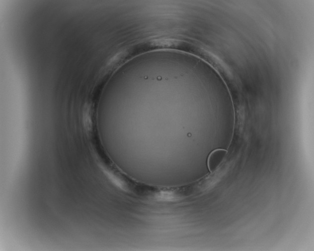 X0000113110114200908281417