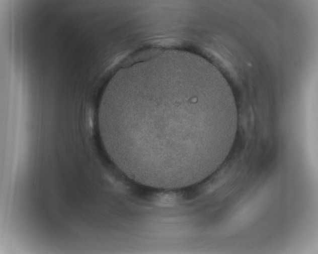 X0000113110115200908281417