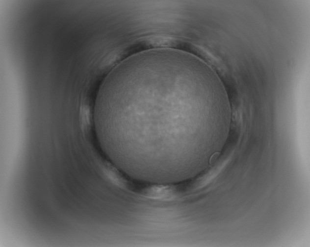 X0000113110117200908281416