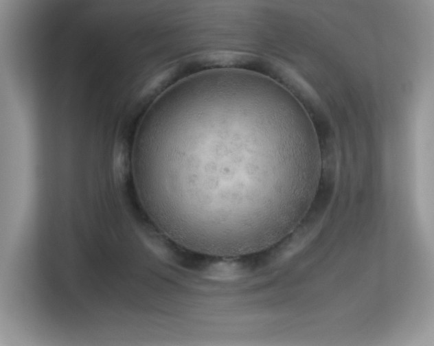 X0000113110119200908281416