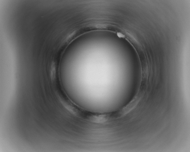 X0000113110120200908281416