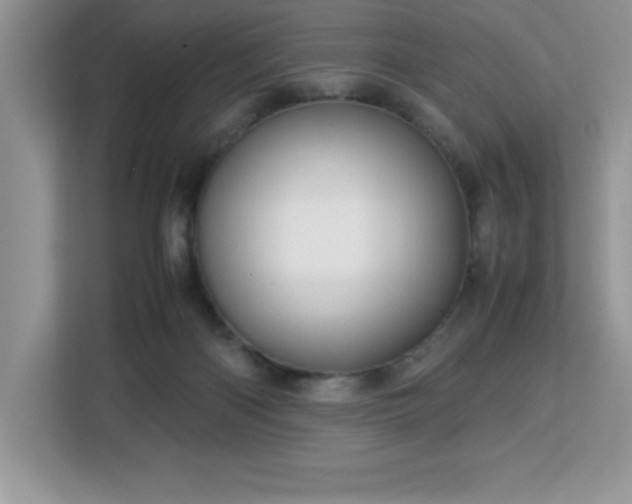 X0000113110122200908281416