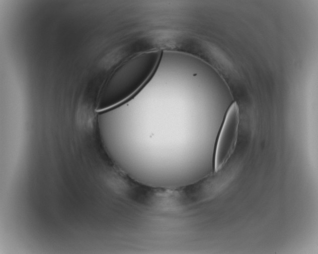 X0000113110125200908281416