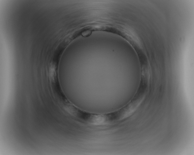 X0000113110127200908281416