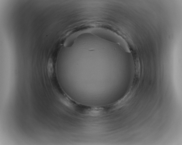 X0000113110128200908281416