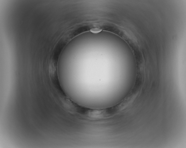 X0000113110129200908281416