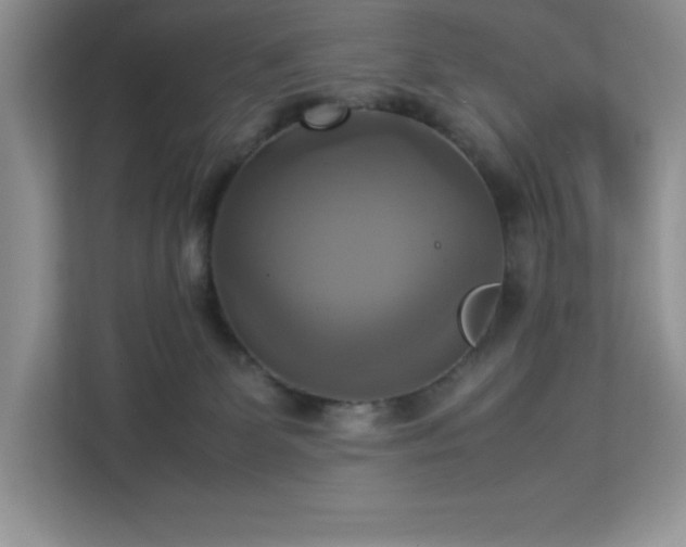 X0000113110131200908281416