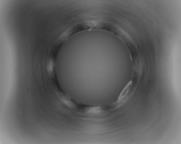X0000113110132200908281416
