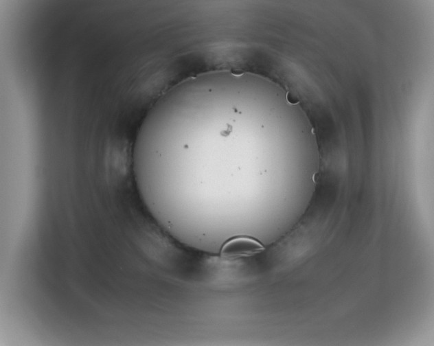 X0000113110133200908281416