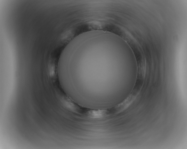 X0000113110134200908281416