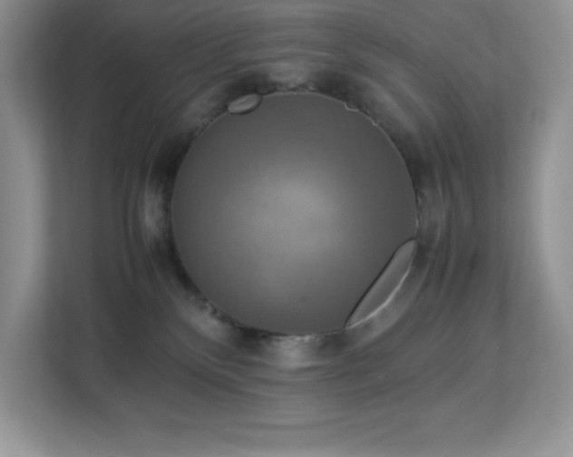 X0000113110136200908281416