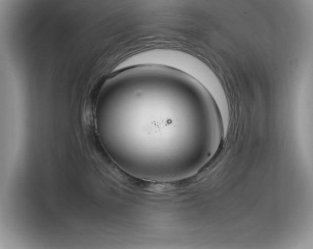X0000113110137200908281416