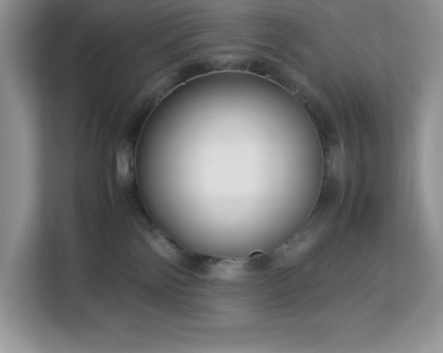 X0000113110138200908281416
