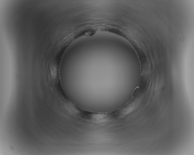 X0000113110139200908281416