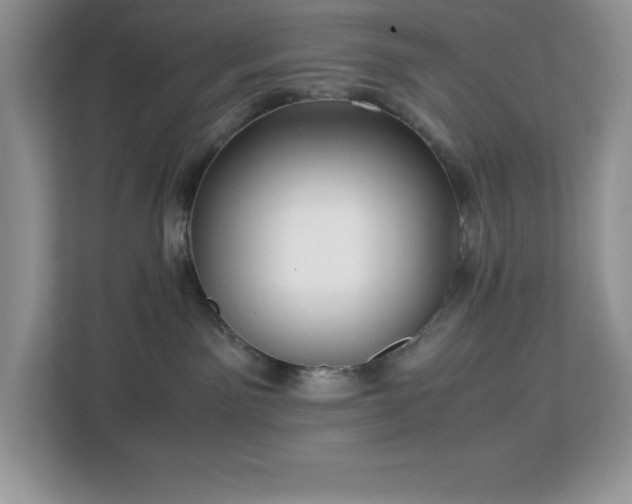 X0000113110141200908281416
