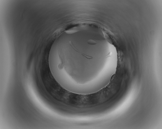 X0000113110143200908281416