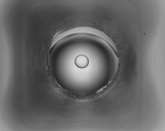 X0000113110144200908281416
