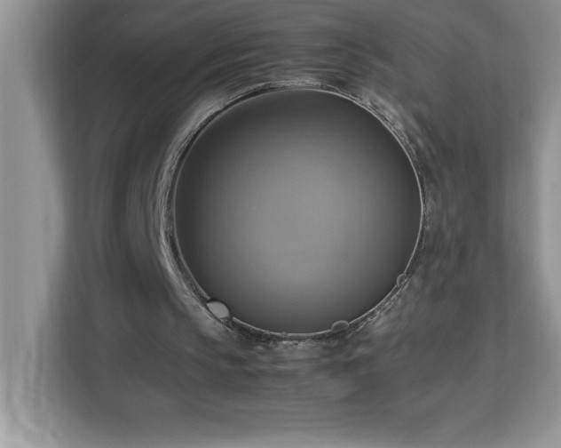 X0000113110145200908281416