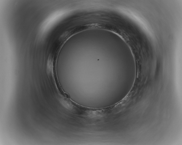 X0000113110147200908281416