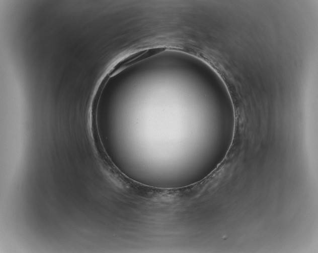 X0000113110148200908281416