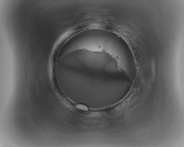 X0000113110149200908281416