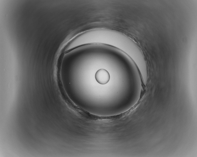 X0000113110150200908281416