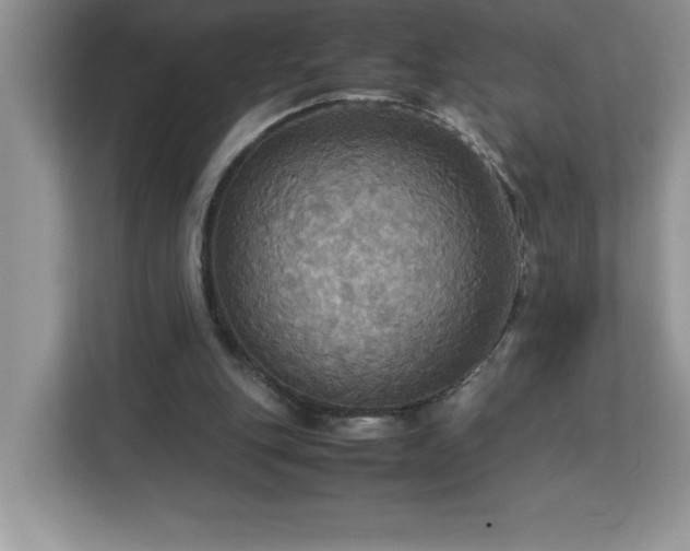 X0000113110151200908281416