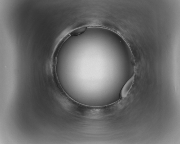 X0000113110152200908281416
