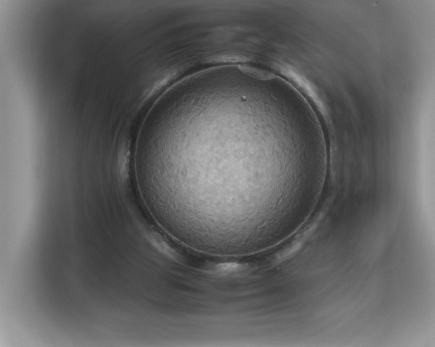 X0000113110153200908281416