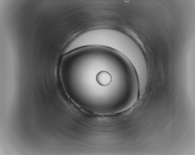 X0000113110154200908281416