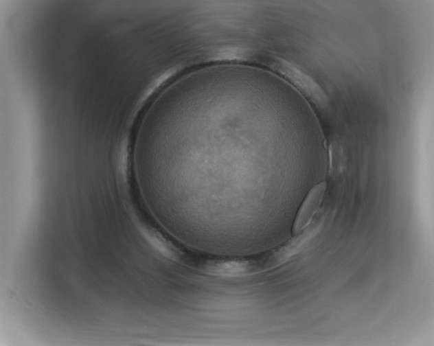 X0000113110156200908281416
