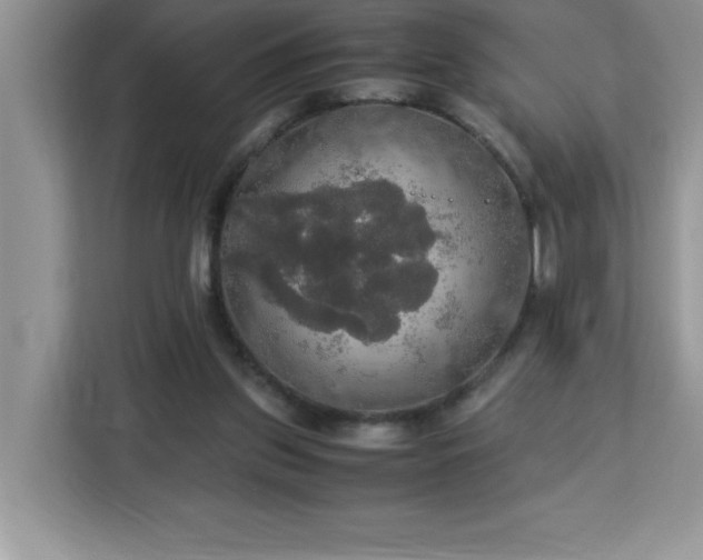X0000113110157200908281416