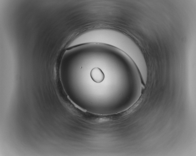X0000113110158200908281416