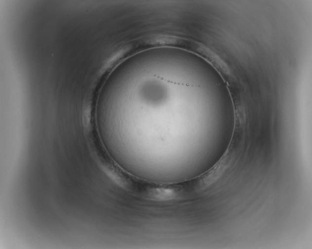 X0000113110159200908281416