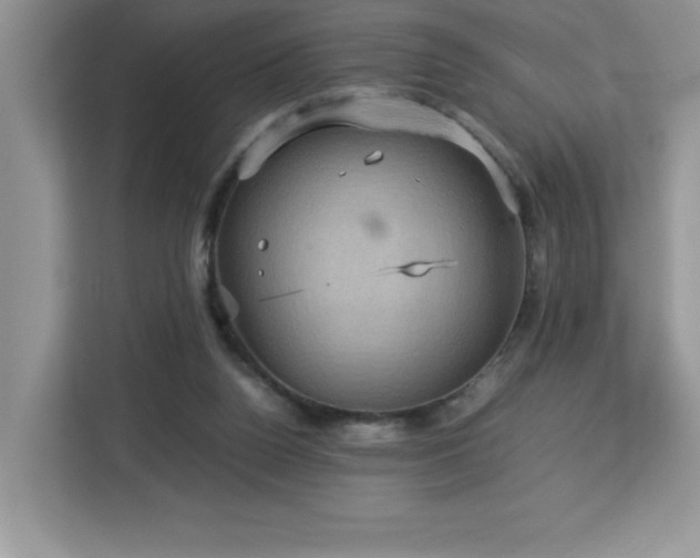 X0000113110160200908281416