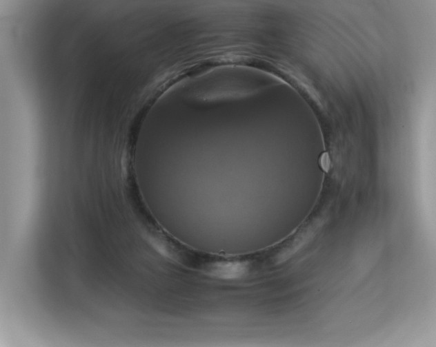 X0000113110161200908281416