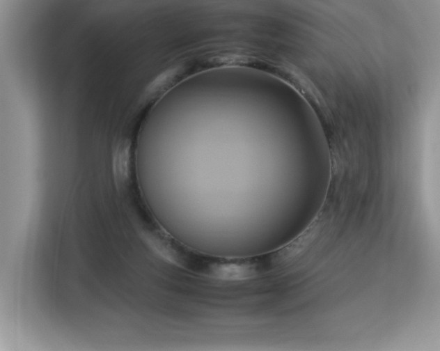 X0000113110163200908281416