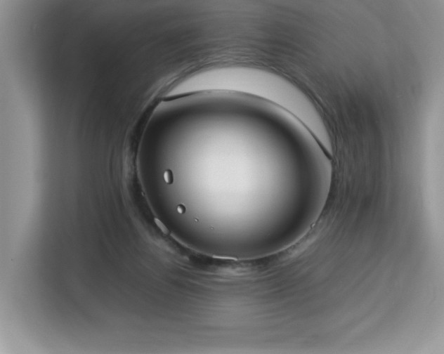 X0000113110164200908281416