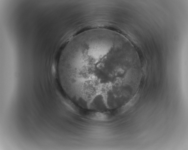 X0000113110166200908281416