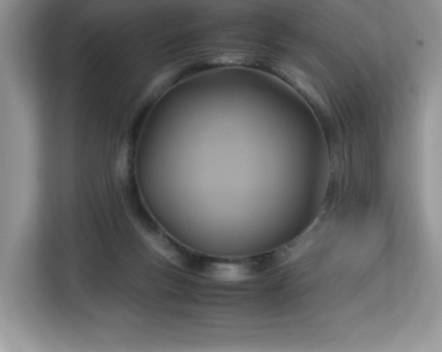 X0000113110167200908281416
