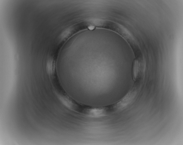 X0000113110168200908281416