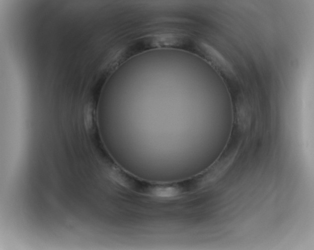 X0000113110169200908281416