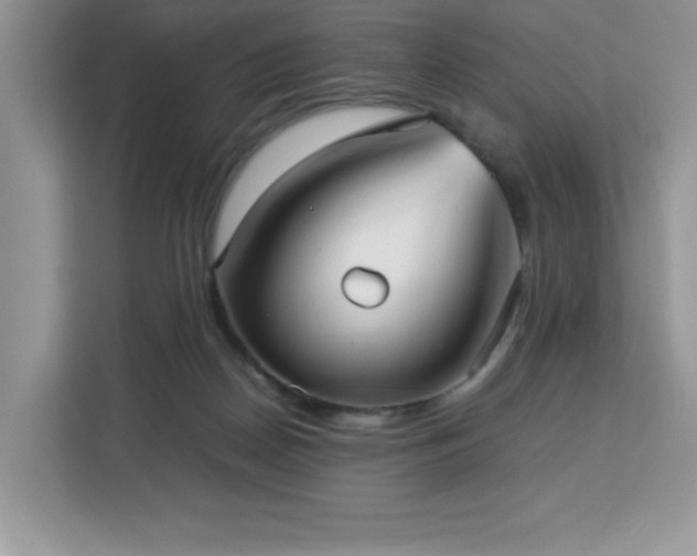 X0000113110170200908281416