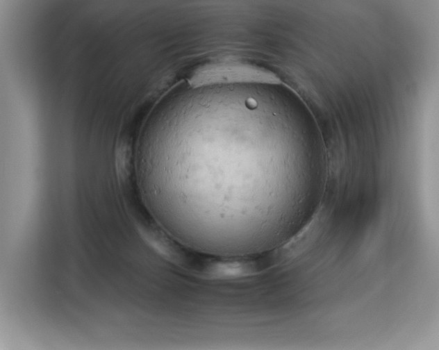 X0000113110171200908281416