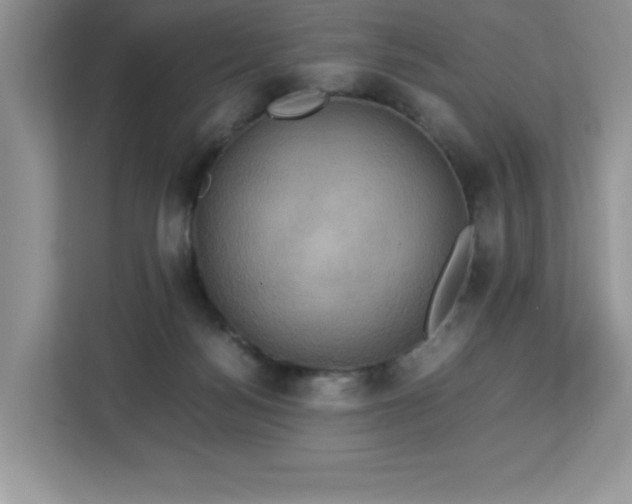 X0000113110172200908281416
